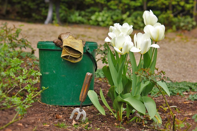 Trabajando valores: Metáfora del Jardín